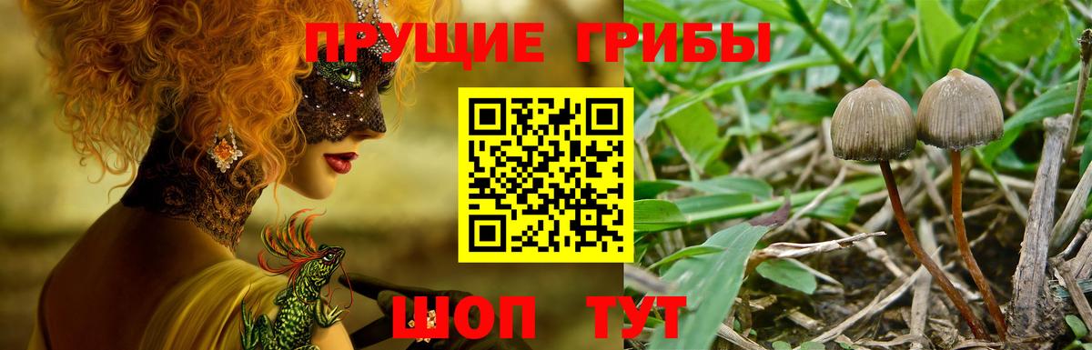 Галлюциногенные грибы MAGIC MUSHROOMS  Вход с VPN  Щёлково  Галлюциногенные грибы MAGIC MUSHROOMS 